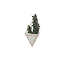 Load image into Gallery viewer, Umbra Wall Planter | Wall Decoration | Copper