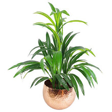 Load image into Gallery viewer, Large Copper Plant Pot