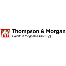 Load image into Gallery viewer, Thompson & Morgan Plant Pot | White & Copper