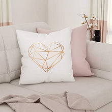 Load image into Gallery viewer, Set Of 2 Copper & Pink Cushion Covers