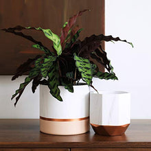 Load image into Gallery viewer, Copper & White Plant Pots | Set Of 2