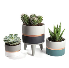 Load image into Gallery viewer, Set of 3 | Grey Concrete Cement & Copper Indoor Plant Flower Pots | With 1 Stand