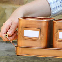 Load image into Gallery viewer, Rustic Copper Herb Planters | Set Of 3