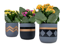 Load image into Gallery viewer, Set of 3 | Copper Plant Pots | Cement