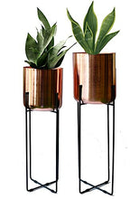 Load image into Gallery viewer, Copper & Black | Set Of 2 | Green Decore Planter