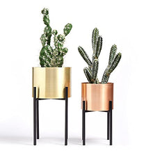Load image into Gallery viewer, Modern Contemporary Copper & Gold Planters On Black Stand