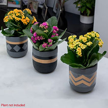 Load image into Gallery viewer, Set Of 3 Copper Plant Pots | Tydi