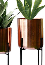 Load image into Gallery viewer, Copper Plant Pot | Set Of 2