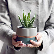 Load image into Gallery viewer, Set Of 3 Copper & Concrete Plant Pots