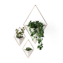 Load image into Gallery viewer, Hanging Planter Vase | Geometric Wall Decor | Concrete & Copper | Set Of 2 | Umbra
