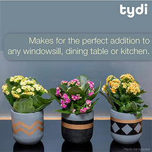 Load image into Gallery viewer, Tydi | Copper Plant Pots