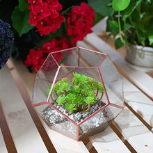 Load image into Gallery viewer, Terrarium | Copper Plant Pot | 18cm