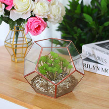 Load image into Gallery viewer, Copper Plant Pot | 18cm