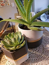 Load image into Gallery viewer, Set Of 2 Plant Pot | Copper