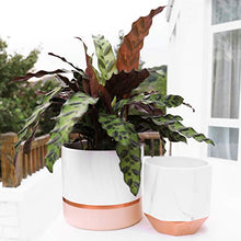 Load image into Gallery viewer, Set Of 2 Marble White & Copper Plant Pots
