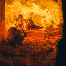 Load image into Gallery viewer, Hand Forged Copper Rose | Anniversary Gift Idea