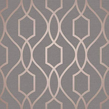 Load image into Gallery viewer, Fine Decor Wallcoverings | Apex Trellis Sidewall Wallpaper | Copper/Charcoal (FD41998)
