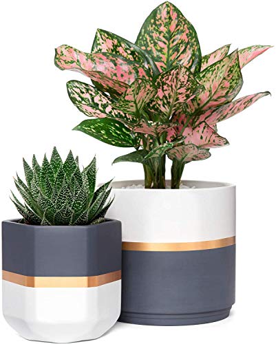 grey and gold plant pot Copper, Grey, White Plant Pot | Set Of 2