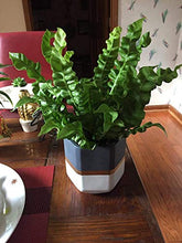 Load image into Gallery viewer, Indoor Plant Pot | Copper, White, Grey