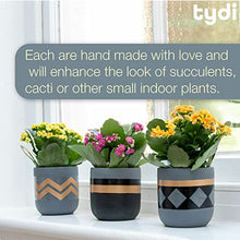 Load image into Gallery viewer, Indoor Plant Pot | Copper, Black, Grey