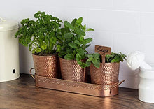 Load image into Gallery viewer, Copper Herb Planter Pots | Kitchenware