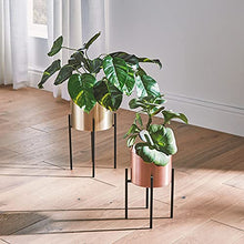 Load image into Gallery viewer, Copper & Gold Plant Pots | Set Of 2