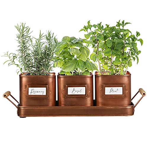 indoor windowsill herb planter Set Of 3 | Rustic Copper Metal Kitchen Windowsill Plant Pots
