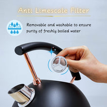 Load image into Gallery viewer, Rasonic Classic Retro Electric Kettle 1.8L Stainless Steel, 3KW Fast Quiet Boiling, Temperature Gauge, LED Light, Auto Shut-Off, Home Kitchen, Office, Luxurious Hotel (Matt Finish Black and Rose Gold)
