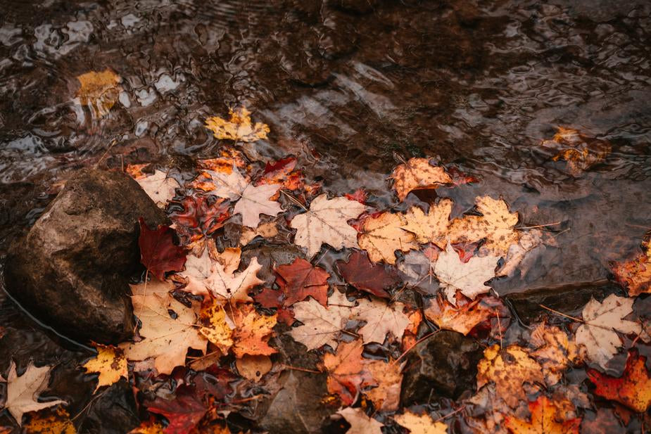 Copper colours surround us, especially within nature. Autumn sees amazing varying tones of copper colours from oranges, to reds, to browns. Adding copper coloured accessories to your garden also will add some of these colours at other times of the year
