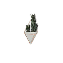 Load image into Gallery viewer, Umbra Wall Planter | Wall Decoration | Copper  

