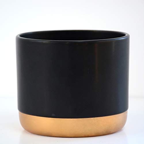 Black & Copper Plant Pot | Indoor Use | Ceramic | Thompson & Morgan