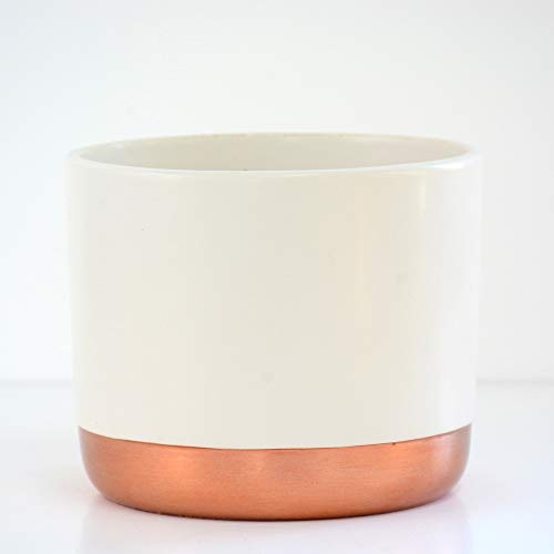 White & Rose Gold Copper | Plant Pot | Ceramic | Thompson & Morgan 