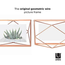 Load image into Gallery viewer, Umbra Geometric Wire Picture Frame
