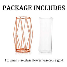 Load image into Gallery viewer, Glass &amp; Copper Geometric Vase
