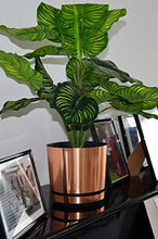 Load image into Gallery viewer, Copper Plant Pot | Glossy Finish 
