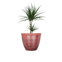 Load image into Gallery viewer, Copper Plant Pot 

