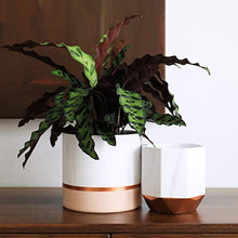 Load image into Gallery viewer, Copper &amp; White Plant Pots | Set Of 2
