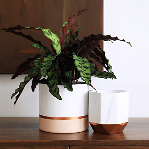 rose gold plant pot Marbled White Ceramic & Copper, Rose- Gold Plant Pots | Pack Of 2