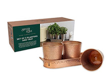 Load image into Gallery viewer, Silver Cove | Set Of 3 Copper Planters And Tray 
