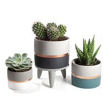 Load image into Gallery viewer, Set of 3 | Grey Concrete Cement &amp; Copper Indoor Plant Flower Pots | With 1 Stand
