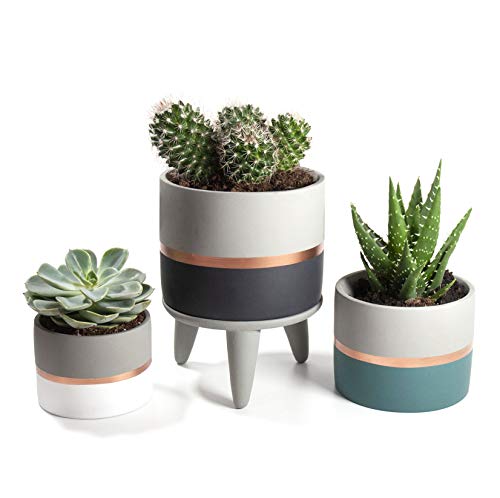 Set of 3 | Grey Concrete Cement & Copper Indoor Plant Flower Pots | With 1 Stand