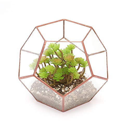 Copper Terrarium | 18cm 