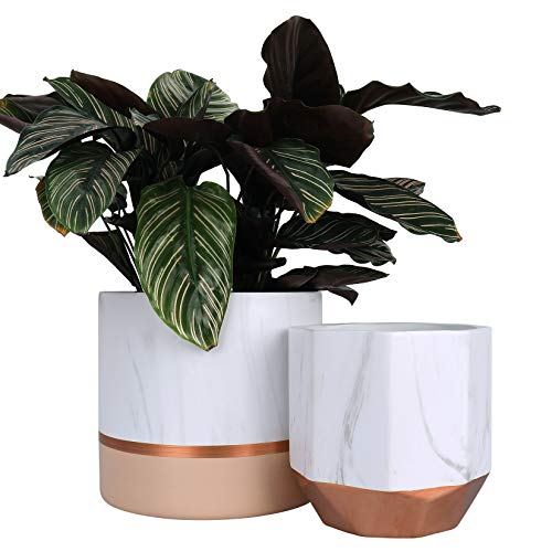 Marbled White Ceramic & Copper, Rose- Gold Plant Pots | Pack Of 2 | Indoor Plants