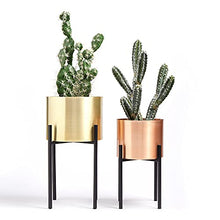 Load image into Gallery viewer, Modern Contemporary Copper &amp; Gold Planters On Black Stand 
