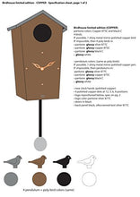 Load image into Gallery viewer, Copper Bird House | Modern Design | KooKoo 

