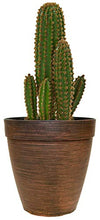 Load image into Gallery viewer, Muddy Hands Copper Plant Pot Tall Round Plastic Planter Outdoor Garden Flower Herb Tree (1, 26.5 Litre)
