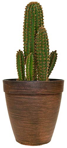 muddy hands plant pots Muddy Hands Copper Plant Pot Tall Round Plastic Planter Outdoor Garden – Copper Living