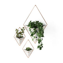 Load image into Gallery viewer, Hanging Planter Vase | Geometric Wall Decor | Concrete &amp; Copper | Set Of 2 | Umbra
