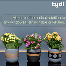 Load image into Gallery viewer, Tydi | Copper Plant Pots 
