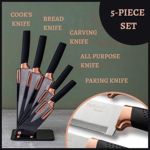 nuovva Kitchen Knife Block Set Copper 5 Piece Set with Knives Clear Acrylic  Block Stainless Steel Blades